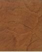 Antique-Amber