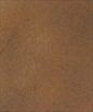 Saddle-Brown