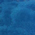 Pacific-Blue-150x150