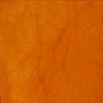 burnt-orange