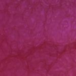 ultra-violet