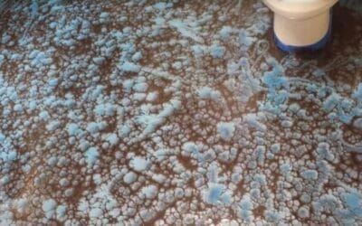 Epoxy Bathroom Floor: Durable and Stylish Flooring Solution